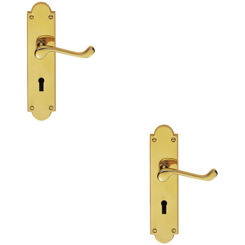 Image of Loops 2x PAIR Victorian Scroll Handle on Lock Backplate 205 x 49mm Polished Brass Metallics