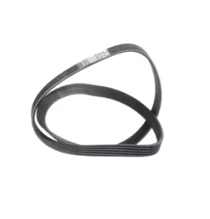 Image of DAYCO V-ribbed belt VW,AUDI,OPEL 6PK1050S 03G903137B,55186115,6340663 Serpentine belt,Auxiliary belt,Poly V-belt,Ribbed belt,Multi V-belt,Poly belt