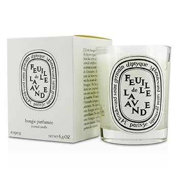 Image of Diptyque Feuille De Lavande Scented Candle 190g