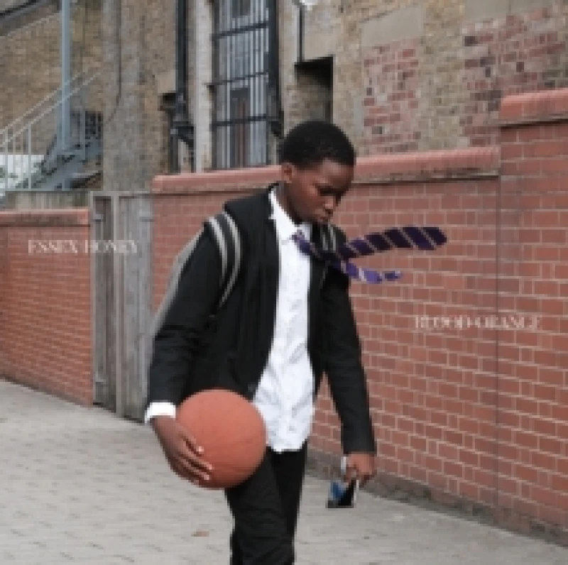 Image of Essex Honey CD / Album