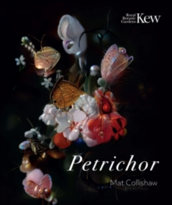 Image of Petrichor Paperback / softback