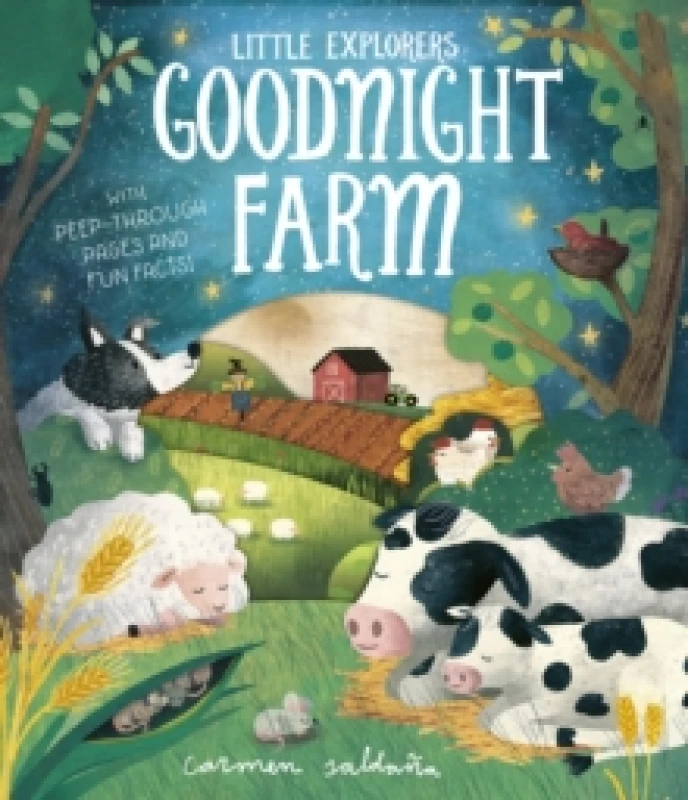 Image of Becky Davies Goodnight Farm Book Multi