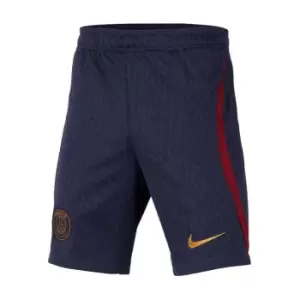 Image of Nike Paris Saint Germain Strike Shorts 2023 2024 Juniors - Blue
