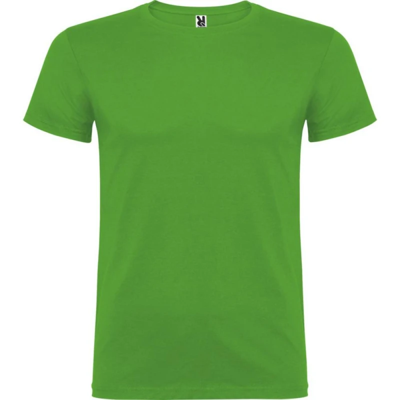 Image of Roly Beagle boys's Children's T shirt in Green