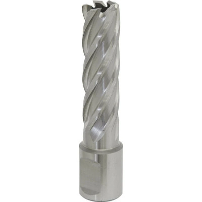 Image of Loops 16mm x 50mm Depth Rotabor Cutter - M2 Steel Annular Metal Core Drill 19mm Shank Metallics