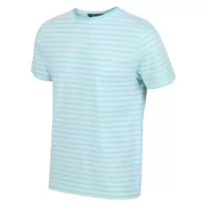 Image of Regatta Brayden T-Shirt - AntiBlMinStr