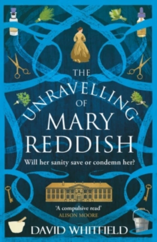 Image of The Unravelling of Mary Reddish : a powerful historical novel about a woman unjustly committed to an asylum Paperback / softback