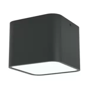 Image of Netlighting Grimasola Surface Mounted Downlight Black