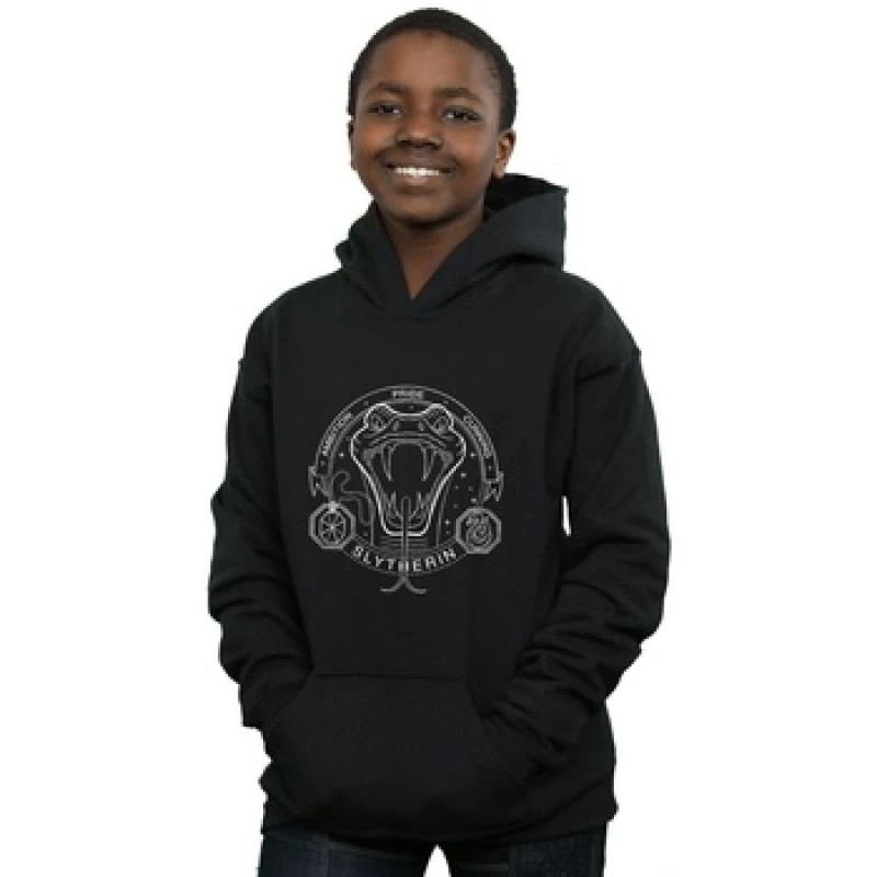 Image of Harry Potter Slytherin Seal Hoodie Black male