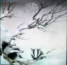 Image of One Live Badger