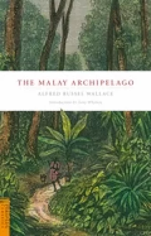 Image of malay archipelago