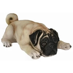 Image of Best of Breed Collection - Pug