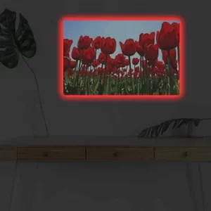 Image of 4570DHDACT-036 Multicolor Decorative LED Lighted Canvas Painting