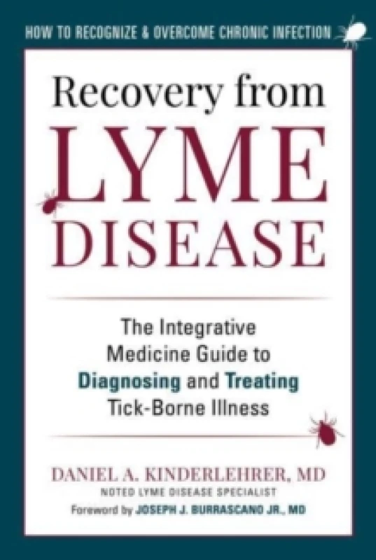 Image of Recovery from Lyme Disease : The Integrative Medicine Guide to Diagnosing and Treating Tick-Borne Illness Paperback / softback