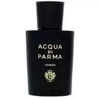 Image of Acqua di Parma Signatures of the Sun Ambra Eau de Parfum Unisex 100ml