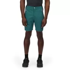 Image of Regatta Highton Pro Short - PacifcGr/Blk