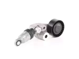 Image of INA Tensioner Lever, v-ribbed belt 534 0297 10 SSANGYONG,Rexton / Rexton II (GAB_),REXTON W,KYRON,RODIUS,ACTYON SPORTS I (QJ),ACTYON I,Stavic SUV