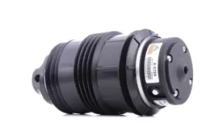 Image of Arnott Air Spring, suspension MERCEDES-BENZ A-2724 2113200725,211320072528,211320072580 2113200725LT,2113200825,211320082528,211320082580,2113201525