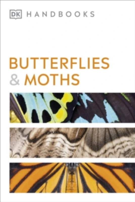 Image of Butterflies and Moths. Paperback. By David J Carter Books