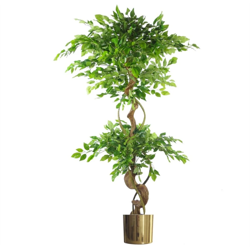 Image of Leaf 150cm Twisted Trunk Artificial Ruscus Fruticosa Ficus Tree Gold Planter Green unisex