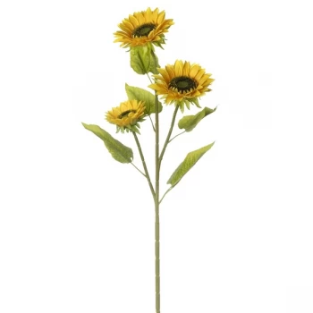Image of Sunflowers Stem