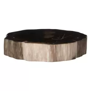 Image of Olivia's Raven Petrified Wood Bowl