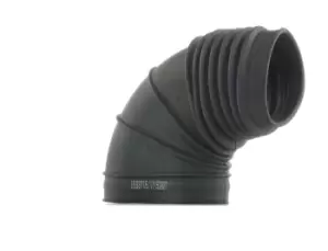 Image of RIDEX Intake Pipe, air filter 1591I0074 BMW,5 Limousine (E34),7 (E32)