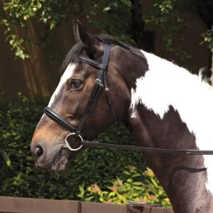 Image of Requisite Raised Bridle and Reins - Black