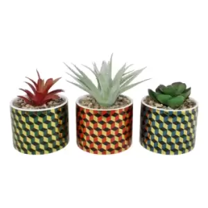 Image of Set of 3 Succulents In Ceramic Pots With A Cubic Design