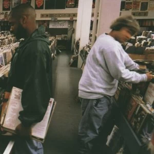 Image of Dj Shadwo - Endtroducing... Vinyl