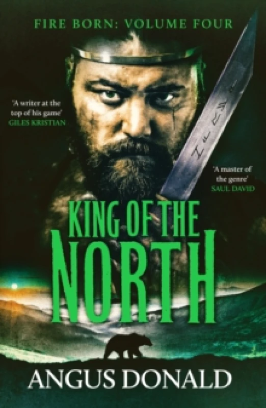 Image of King of the North : A Viking saga of battle and glory Paperback / softback