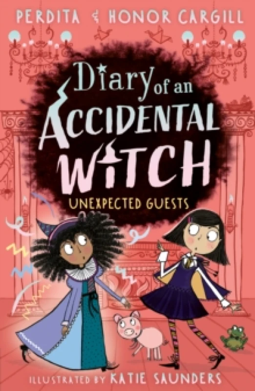 Image of Diary of an Accidental Witch: Unexpected Guests Paperback / softback