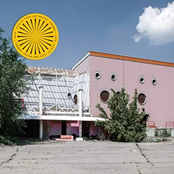 Image of Tiger & Woods - Aod Vinyl