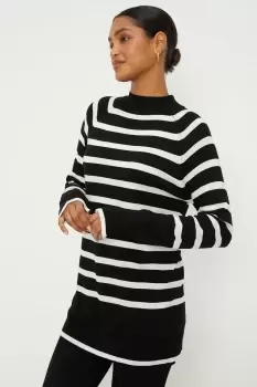 Image of Stripe Funnel Neck Tunic Jumper