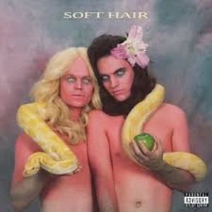 Image of Soft Hair - Soft Hair Vinyl