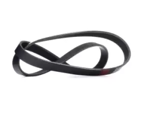 Image of RIDEX V-ribbed belt FORD,FIAT,PEUGEOT 305P0341 46747484,46747485,71749448 1650769,88WF6C301A1A,9091602664,90916W2018,9771339850,9091602664,90916W2018