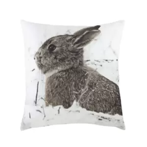 Image of Evans Lichfield Photo Hare Cushion Cover (One Size) (White/Brown/Powder Blue)