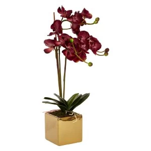 Image of Premier Housewares Aubergine Orchid Faux Plant in Gold Pot