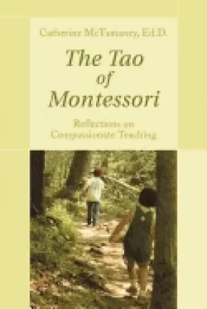 Image of tao of montessori