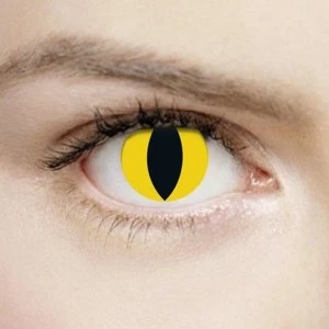 Image of Wild Yellow Cat 1 Day Halloween Coloured Contact Lenses (MesmerEyez XtremeEyez)