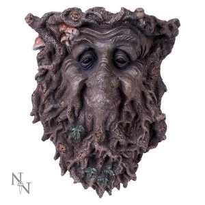 Image of Wylde Wisdom Wall Art