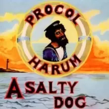 Image of A Salty Dog