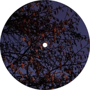 Image of Quest #14 by Mikkel Metal Vinyl Album