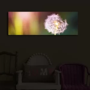 Image of 3090?ACT-48 Multicolor Decorative LED Lighted Canvas Painting