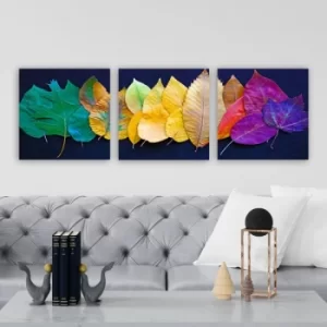 Image of P865762 Multicolor Decorative Canvas Painting (3 Pieces)