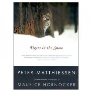 Image of Tigers in the Snow Paperback