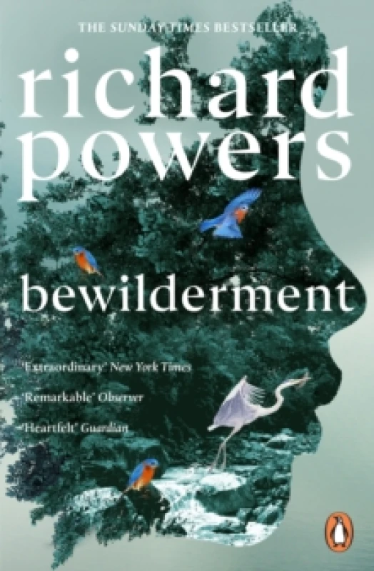 Image of Bewilderment Paperback / softback