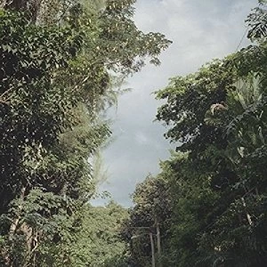 Image of Zac Nelson New Once Vinyl