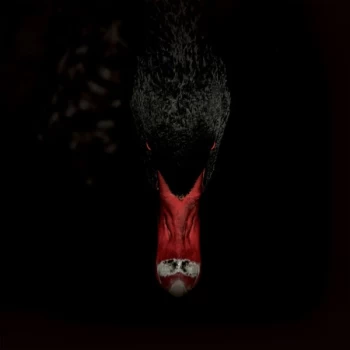 Image of Sankt Otten + N (47) - M&auml;nnerfreundschaften Und Metaphysik Vinyl