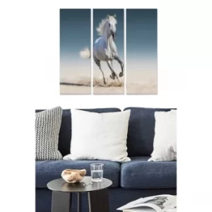 Image of MDF339613850 Multicolor Decorative MDF Painting (3 Pieces)